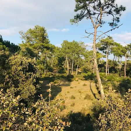 Les Pimprenelles, 50m De L'ocean Saint-Jean-de-Monts